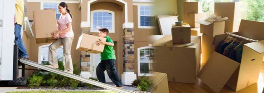 Packing And Moving Services